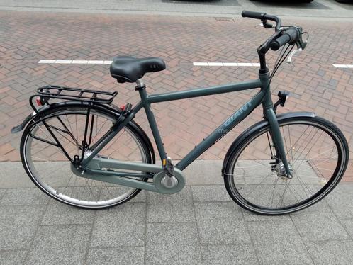 Giant Chill h55 herenfiets, Fietsen en Brommers, Fietsen | Heren | Herenfietsen, Gebruikt, Giant, 53 tot 57 cm, Versnellingen