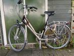 Koga Miyata Prominece Lady, Overige merken, Gebruikt, Versnellingen, Ophalen of Verzenden