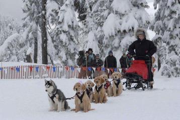 Snow Buddies of Santa Buddies (Disney) beschikbaar voor biedingen