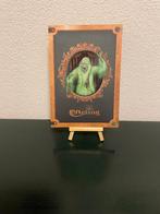 KIJK SNEL !! Fotoboekje Efteling 2025, Verzamelen, Ophalen of Verzenden, Zo goed als nieuw, Overige typen