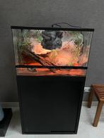 Bleu Lagoon 3D rock terrarium 60 x 40 x 40, Dieren en Toebehoren, Reptielen en Amfibieën | Toebehoren, Ophalen, Zo goed als nieuw