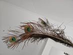 18 Pauwenveren - Decoratief, Ophalen of Verzenden, Gebruikt
