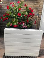 Thermic design radiator voor de badkamer, Doe-het-zelf en Verbouw, Verwarming en Radiatoren, Ophalen, 30 tot 80 cm, Radiator, Minder dan 60 cm