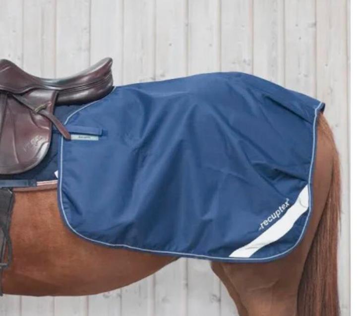 Bucas Therapy Recuptex Quarter Sheet M Nierdeken Uitrijdeken, Dieren en Toebehoren, Paarden en Pony's | Dekens en Dekjes, Deken