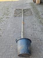 1x Leilinde 3,50m 30-35 1xleilinde 14-16 3m, Tuin en Terras, Planten | Bomen, Ophalen, In pot, Volle zon, Overige soorten