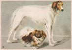 Kaart met Barzoi en Pekingees 1974, Verzenden, 1960 tot 1980, Gelopen, Hond of Kat