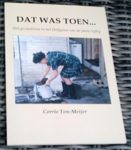 Het gezinsleven in het Delfgauw van de jaren vijftig.Meijer., Boeken, Geschiedenis | Stad en Regio, Zo goed als nieuw, 20e eeuw of later