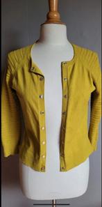 Karen Millen Vest Okergeel Maat S, Kleding | Dames, Ophalen of Verzenden, Zo goed als nieuw, Maat 36 (S), Geel