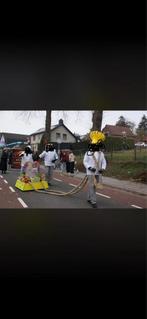 Carnavalsidee groepen, Ophalen, Carnaval