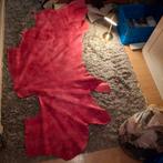 Rode leren  lap met print, Kleding | Dames, Ophalen of Verzenden, Nieuw, Rood, Overige typen