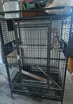 STRONG Vogelkooi / Papegaaienkooi groot, Dieren en Toebehoren, Ophalen, Gebruikt, Metaal, Vogelkooi
