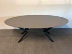 Ovale eettafel HPL antraciet 220x100, 100 tot 150 cm, 200 cm of meer, Ophalen of Verzenden, Zo goed als nieuw