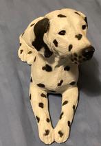 Stenen Dalmatiër, Dieren en Toebehoren, Ophalen, Gebruikt