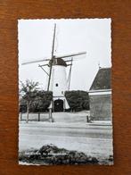 Ansichtkaart St. Antoniusmolen Halsteren, Verzamelen, Ongelopen, Ophalen of Verzenden, Noord-Brabant