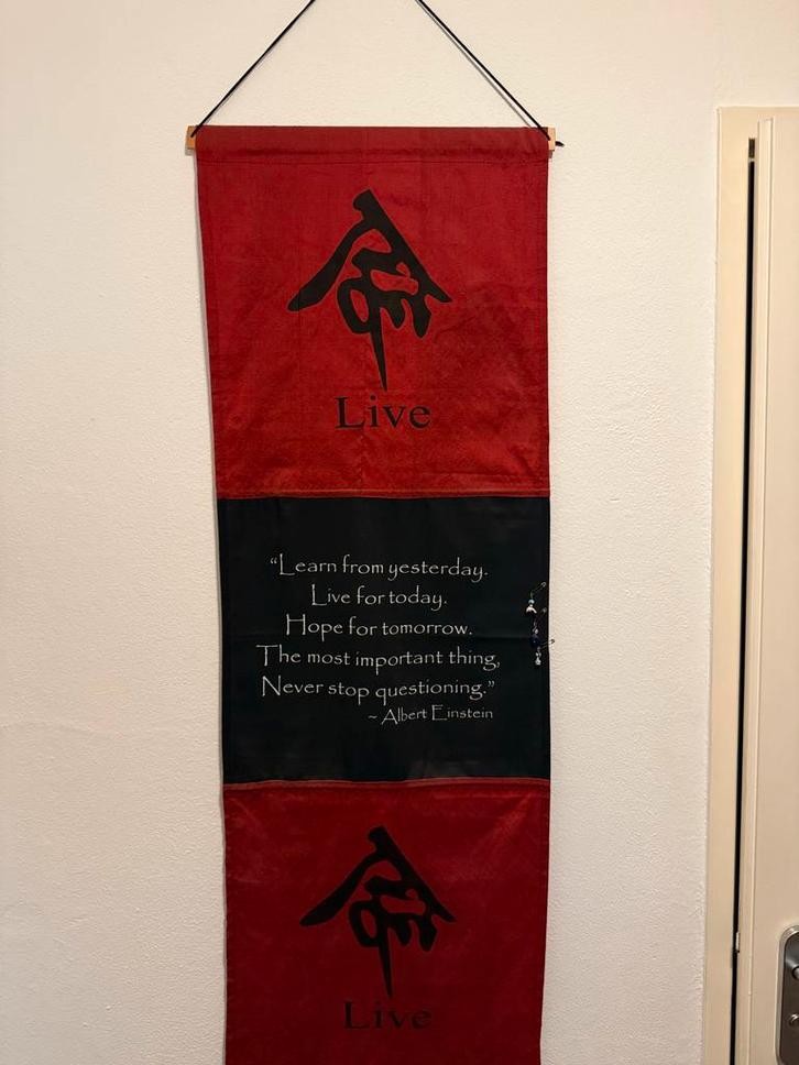 Decoratieve Wandhanger met Quote van Einstein, Huis en Inrichting, Woonaccessoires | Wanddecoraties, Zo goed als nieuw, Ophalen of Verzenden