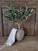 Nieuw. Kunst olijfboom. Landelijk sober stoer, ., Nieuw, Ophalen of Verzenden, .