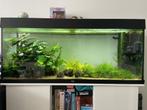 Aquarium Juwel Rio 240, Dieren en Toebehoren, Vissen | Aquaria en Toebehoren, Ophalen, Zo goed als nieuw, Gevuld zoetwateraquarium