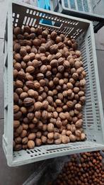 Walnoten  2025, Ophalen of Verzenden