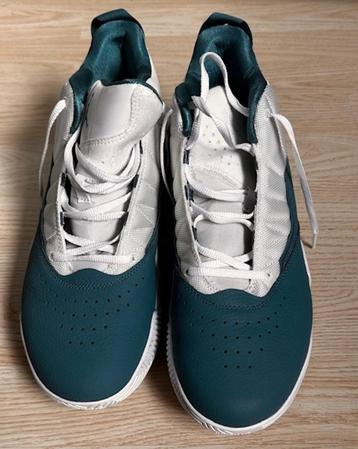 Nike Jumpman maat 46 beschikbaar voor biedingen