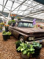 Chevrolet Oldtimer Pickup USA huren – CHEVY huren!, Verzenden, Gebruikt, Overige
