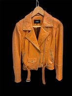 Biker jack leer met studs met 36, Overige kleuren, Nieuw, Ophalen of Verzenden, Jasje