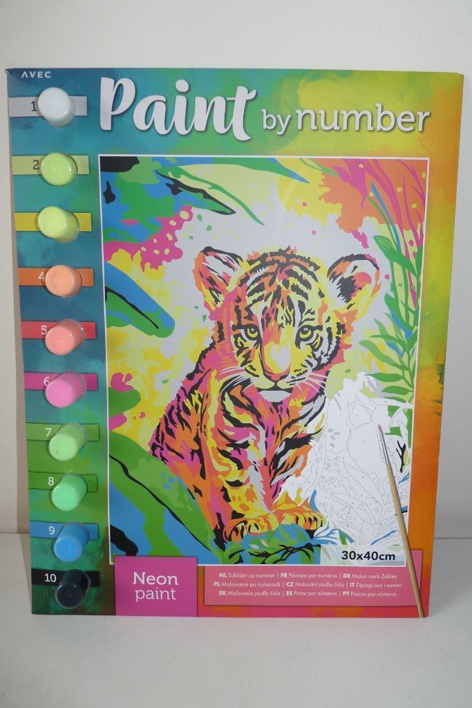 nieuw schilder op nummer neon 30x40 cm, Hobby en Vrije tijd, Schilderen, Nieuw, Schilderen op nummer, Ophalen of Verzenden