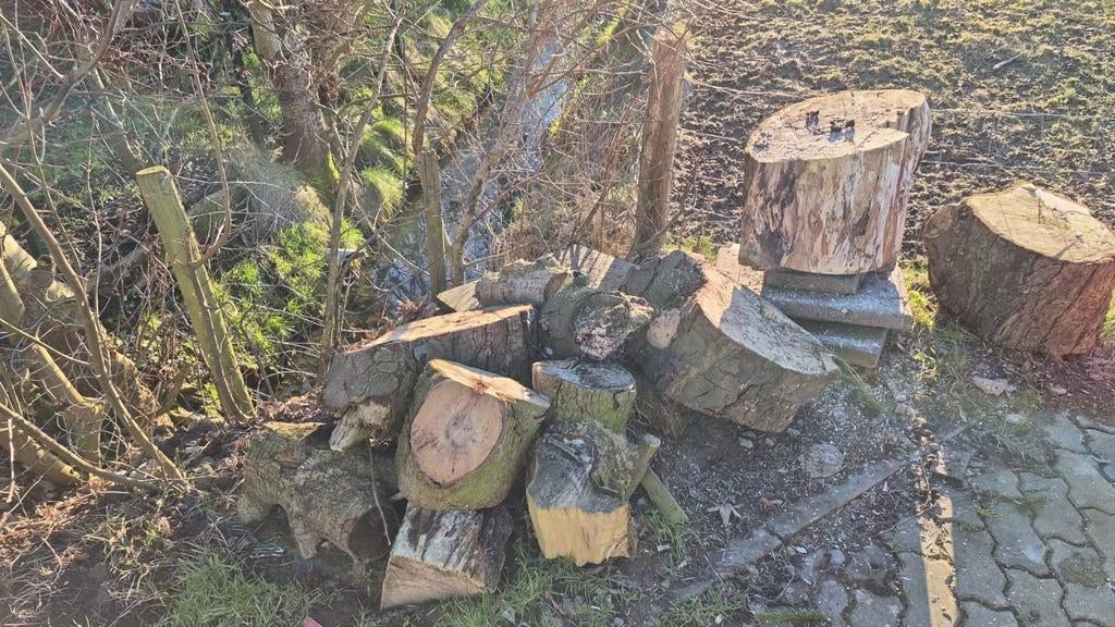 Brandhout stammen, Doe-het-zelf en Verbouw, Hout en Planken, Ophalen, Overige houtsoorten