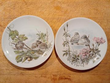 Twee prachtige antieke borden wandborden met jonge vogeltjes beschikbaar voor biedingen