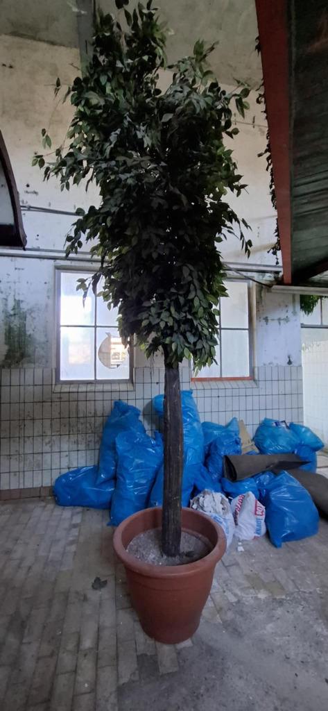 Een grote kunstboom, 4.00m bijhoorlijk echt !, Huis en Inrichting, Woonaccessoires | Kunstplanten en Kunstbloemen, Gebruikt, Binnen