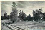(377-692-001) Lutterzand, Verzenden, Overijssel