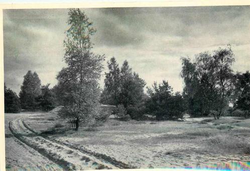 (377-692-001) Lutterzand, Verzamelen, Ansichtkaarten | Nederland, Overijssel, Verzenden