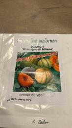 Miscuglio di milano meloen zaden, Ophalen of Verzenden, Volle zon