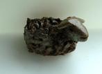 Beeldje schaap letterbak figuur aardewerk 5 cm lang, Verzamelen, Beelden en Beeldjes, Ophalen of Verzenden, Gebruikt, Dier