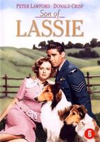 Son of Lassie, Vanaf 6 jaar, Ophalen of Verzenden, Nieuw in verpakking