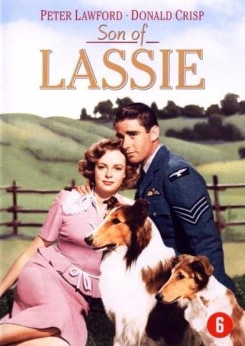 Son of Lassie, Cd's en Dvd's, Dvd's | Avontuur, Nieuw in verpakking, Vanaf 6 jaar, Ophalen of Verzenden