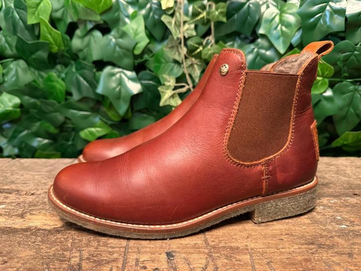 Nieuwe gevoerde laarsjes van Panama Jack maat 38, Kleding | Dames, Schoenen, Nieuw, Lage of Enkellaarzen, Bruin, Ophalen of Verzenden