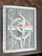 metalen wandbordje ford mustang, Ophalen of Verzenden, Voor 1940, Zo goed als nieuw, Overige onderwerpen