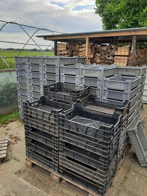 plantenbakken, Tuin en Terras, Bloembakken en Plantenbakken, Gebruikt, Kunststof, Tuin, Minder dan 30 cm, Minder dan 60 cm, Rechthoekig