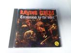 Raving Fields (Terminated By The Devil) CD Hardcore, Gabber, Ophalen of Verzenden, Techno of Trance, Zo goed als nieuw