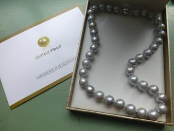 NIEUW Parel Collier grote grijze Edison Parels Certificaat ! beschikbaar voor biedingen
