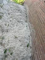 Gratis ophalen zand, Ophalen, Zo goed als nieuw, Ophoogzand