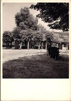 Vorstenbosch - Langgevel boerderij, Verzamelen, Verzenden, 1940 tot 1960, Ongelopen, Noord-Brabant
