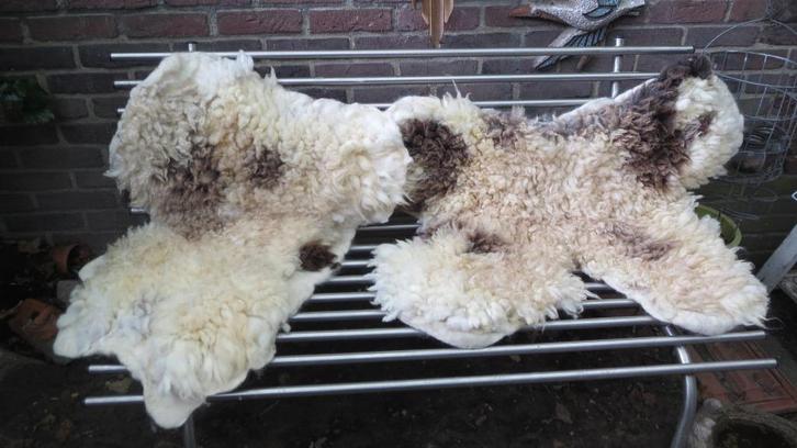 2 gevilte vachten Jacobschaap, mooi tweetal, wol, Huis en Inrichting, Woonaccessoires | Plaids en Woondekens, Nieuw, Verzenden