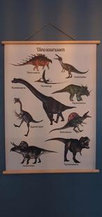 Leuke poster/schoolplaat met dinosauriërs, Ophalen of Verzenden