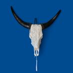 Buffel schedel gegraveerd, Ophalen of Verzenden, Zo goed als nieuw, Schedel