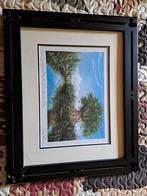 Disney animal kingdom print van harambe village., Verzamelen, Ophalen of Verzenden, Overige figuren, Nieuw