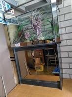 Aquarium  met onderkast., Dieren en Toebehoren, Vissen | Aquaria en Toebehoren, Ophalen, Gebruikt, Leeg aquarium