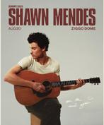 Shawn Mendes on the road again concert Ziggo, Eén persoon, Augustus