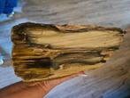 Groot stuk versteend hout, Verzamelen, Mineralen en Fossielen, Ophalen of Verzenden, Mineraal