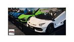 Collectie elektrische kinder Lamborghini accu auto 12 en 24v
